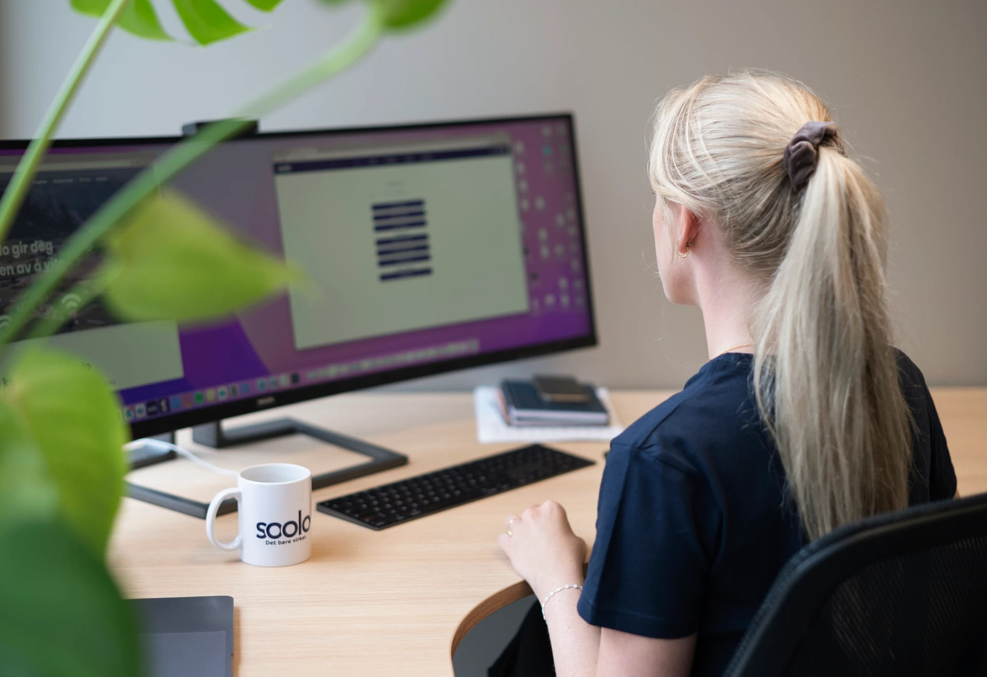 Frequently asked questions - Soolo AS